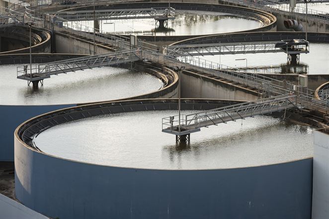 Kórejskí vedci vymysleli spôsob, ako si poradiť s riasami v čistiarňach