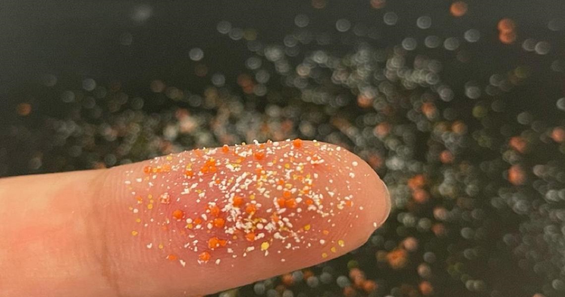Mikroplasty v odpadových vodách môžu slúžiť ako prenášače génov rezistentných na antibiotiká