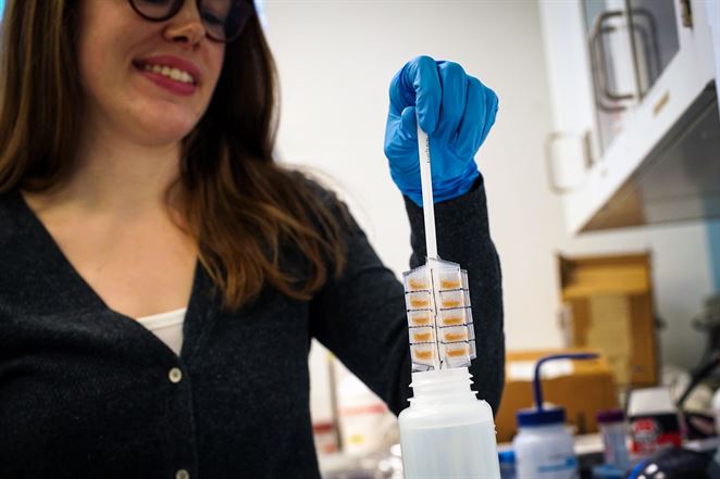 Prítomnosť ťažkých kovov vo vode sa bude dať testovať poštou