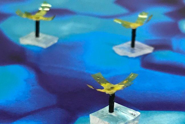 Vodu by jedného dňa mohol čistiť bezdrôtový robot inšpirovaný koralom 