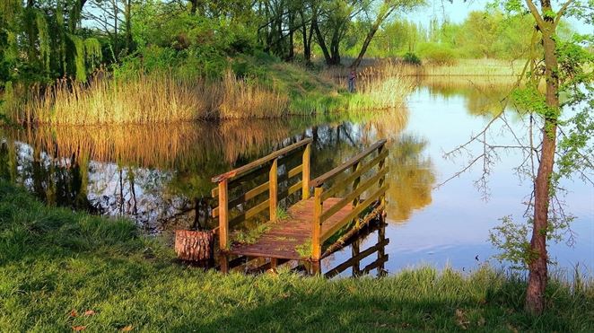 Žitným ostrovom by sa mala zaoberať bezpečnostná rada štátu, tvrdia ochranári