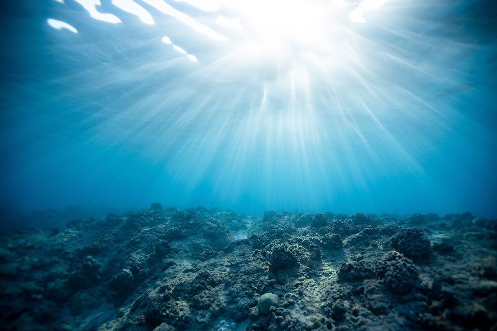 Vedci zmapovali prienik odpadových vôd do oceánu. Mnohé ekosystémy sú ohrozené, varujú