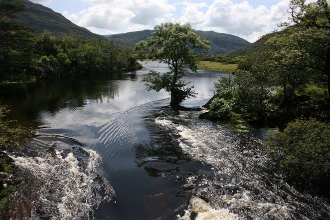Povodňové zabezpečovacie práce: Ochranári pritvrdzujú, envirorezort sa bráni