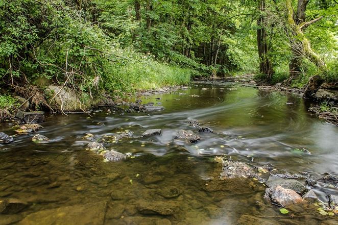Európska environmentálna agentúra: Kvalita vôd na Slovensku je dobrá