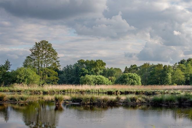 Sólymos predstavil Lex Žitný ostrov. Zákon by mal platiť už na jeseň